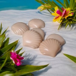 Fondant Coquillage