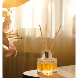 Diffuseur à batonnets 50 ml